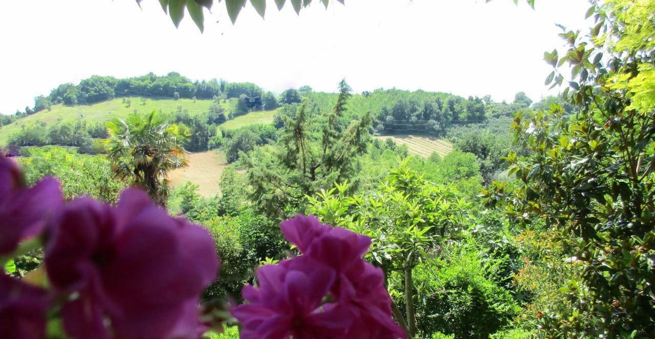 Penna San Giovanni B&B Carboni المظهر الخارجي الصورة
