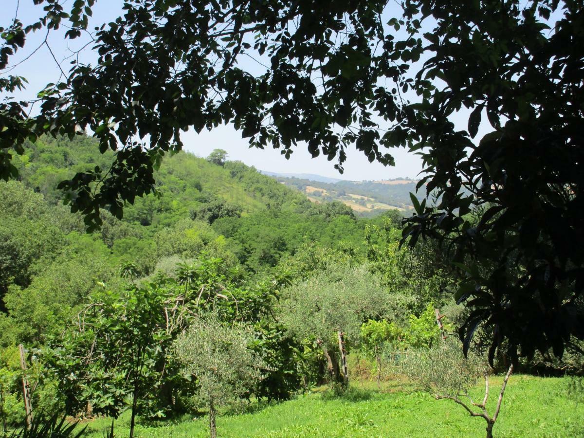 Penna San Giovanni B&B Carboni المظهر الخارجي الصورة