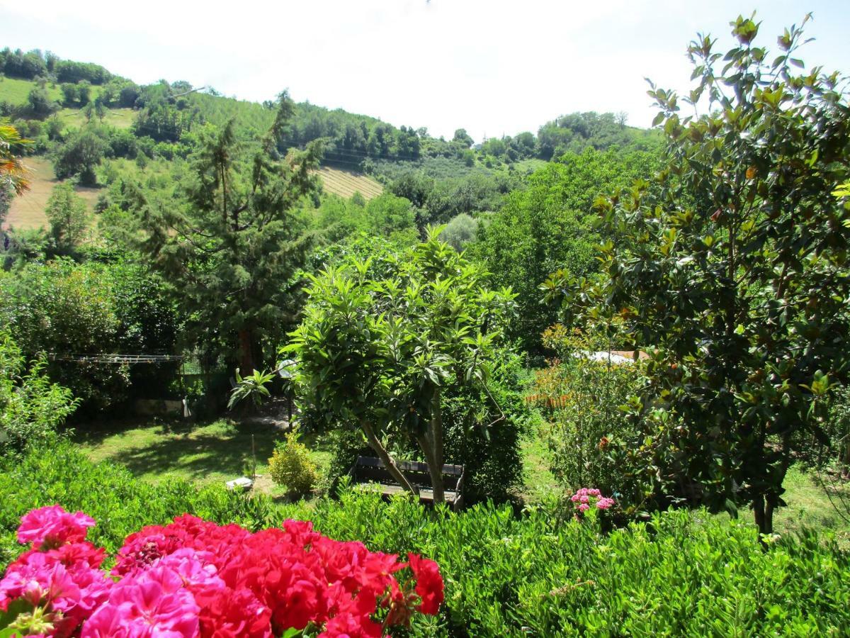 Penna San Giovanni B&B Carboni المظهر الخارجي الصورة
